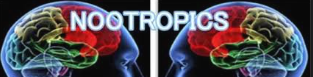 sunifiram nootropic sunifiram nootropic